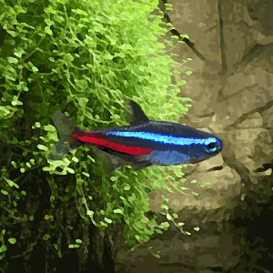 Neon Bleu